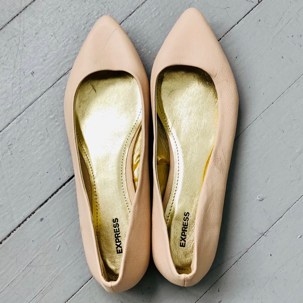 EXPRESS Manhattan Pointed Toe Flats